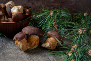 Imleria Badia or Boletus badius mushrooms commonly known as the bay bolete and clay bowl with mushrooms on vintage wooden background..