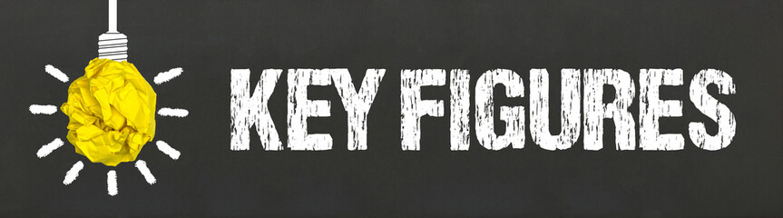 Key Figures	