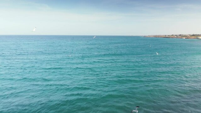 Wildlife Scene With Flock Of Birds Flying At The Beach Of Riserva Naturale Orientata Oasi Faunistica di Vendicari In Noto, Italy.Aerial Drone
