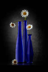 Modern still life with blue bottles and daisies