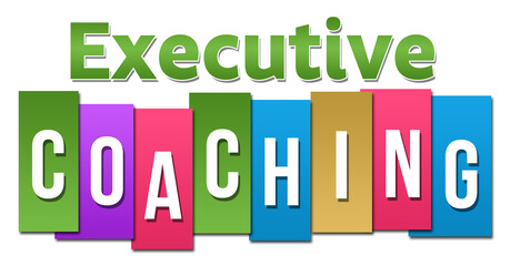 Executive Coaching Professional Colorful 