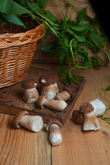 Several porcini mushrooms on wooden background at autumn season..