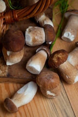 Pile of wild porcini mushrooms on wooden background at autumn season..