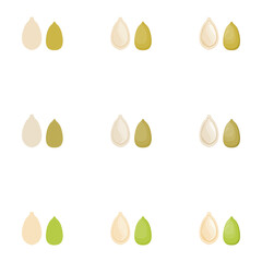 A vector drawn pumpkin seeds illustration with various colors and amount of details	
