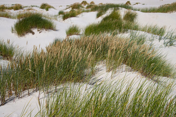 Dune landscape on the island of Amrum