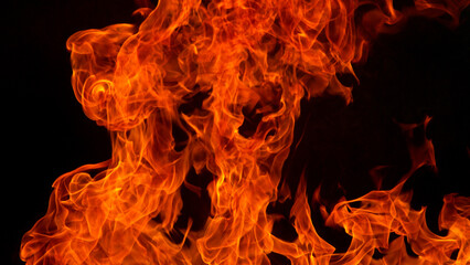 Fire blasts on black background, close-up