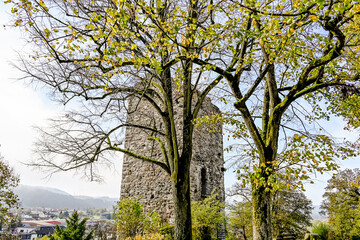 Laufenburg, Ruine, Schlossberg, Aussichtspunkt, Altstadt, Kirche St. Johann, Laufenbrücke, Rhein, Rheinufer, historische Häuser, Herbst, Herbstsonne, Herbstfarben, Schweiz