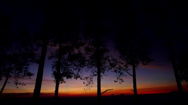 Beautiful sunrise through tress from Mawar Camp Area, Mt Ungaran, Semarang, Indonesia