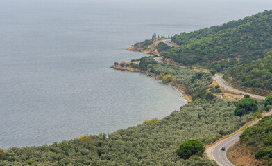 view of the seaand olive gardesn Turkey