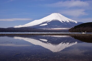 山中湖より望む富士山