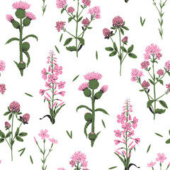 Seamless pattern with pink wild flowers: oregano, clover, carduus, maiden pink, chamaenerion. Botanical illustration for home decor. Hand-drawn.