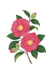 水彩画風の赤い椿 和風ベクターイラスト