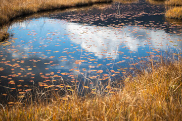 尾瀬ヶ原の秋　池塘に映る秋空