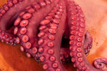 octopus tentacles cooked in the Galician style, pulpo a feira. Spanish food
