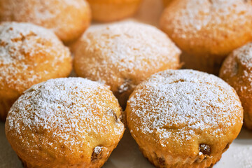 Muffins with powdered sugar, tasty cake. Fresh baked hommeda muffins. Cupcakes sprinkled with powdered sugar