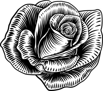 Rose Flower Woodcut Etching Style