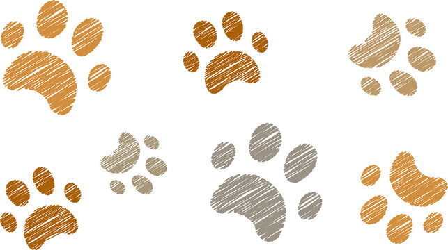 Multiple Animal Paws On White Background.