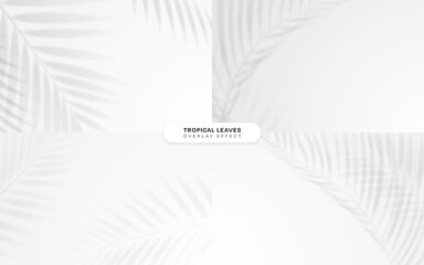 Tropical leaves overlay effect. Vector illustration. Mock-up with palm leaves shadow.