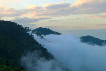 Fototapeta na wymiar misty mountain hills in the morning