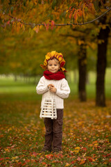 Adorable little child, blond boy with crown from leaves in park on autumn day.