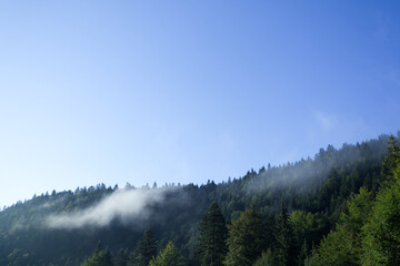 View of the tops of a coniferous forest in the mountains on which clouds were found against the background of the morning blue sky