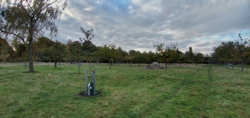 Alte Obstwiese Neum&uuml;nster, Schleswig-Holstein