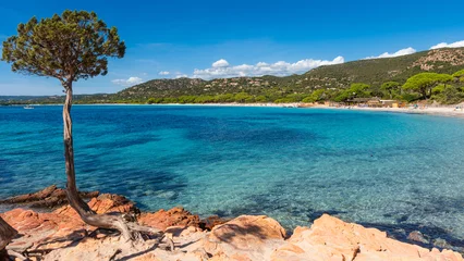 Fototapete Palombaggia Strand, Korsika Strand von Palombaggia auf der Insel Korsika, Frankreich
