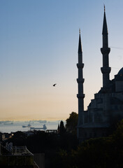 Ayia Sofia in beautiful summer evening with ships on the horizon and seagulls