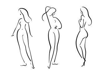 Female body sketch, line drawing of elegant figure. Attractive poses. 