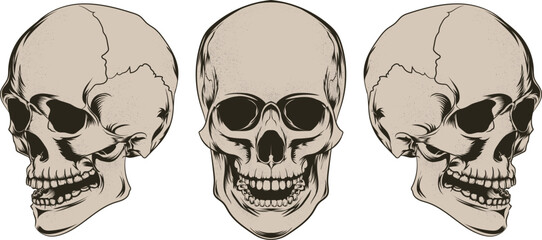 Vector Human Skull Silhouette 