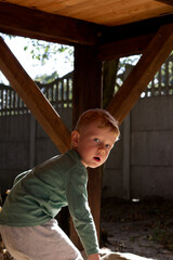 Obraz premium Portrait of a little boy in the sunlight