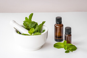 Healing herbs - green mint leaves in mortar for medicine