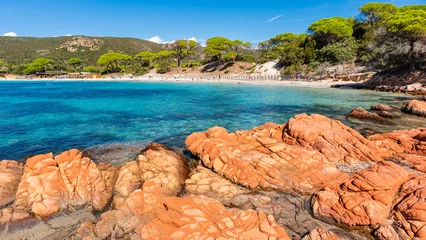 Foto auf Acrylglas Palombaggia Strand, Korsika Strand von Palombaggia auf der Insel Korsika, Frankreich