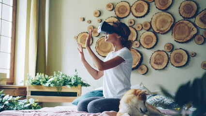 Pretty African American girl is using virtual reality glasses sitting on bed at home, she is moving hands and head and smiling while her cute dog is yawning and licking its muzzle.