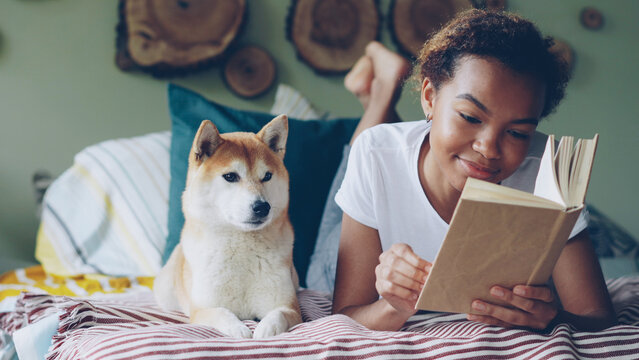 Young African American woman is reading interesting book and caressing her pet dog resting on bed in beautiful modern apartment. Animal is enjoying its owner's love and care.