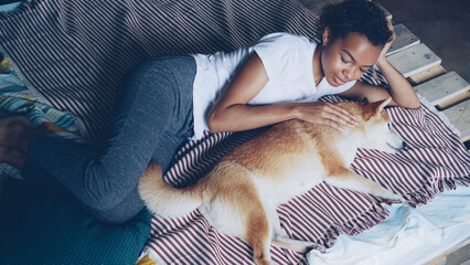 Sweet African American girl is stroking purebred shiba inu dog lying on bed while animal is enjoying love and tenderness. Loving animals, kind young people and relaxation concept.