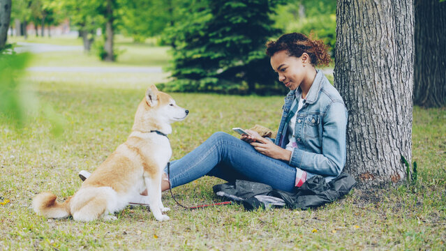 Side view of pretty African American girl using smartphone relaxing in park on lawn under tree while her cute shiba inu dog is sitting near her owner and enjoying nature.