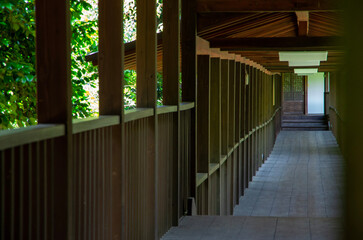 wooden bridge