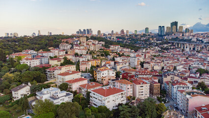 Fototapeta na wymiar Skyscrapers of istanbul behind Ortaköy Camii mosque and city behind, aerial view of the Bosporous in Istanbul