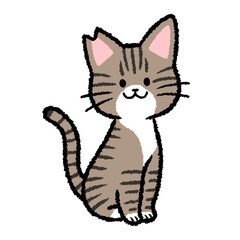 耳カットをされた雄のキジトラ猫