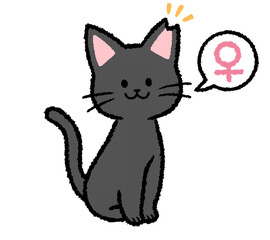 耳カットをされた雌の黒猫