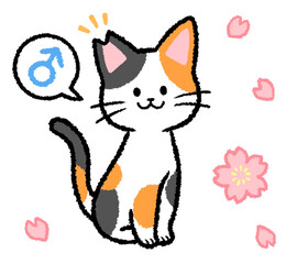 耳カットをされた雄の三毛猫