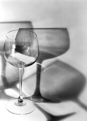 wine glasses on a table