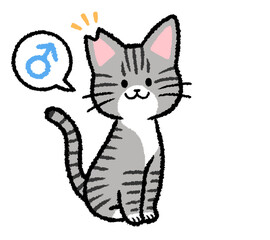 耳カットをされた雄のサバトラ猫