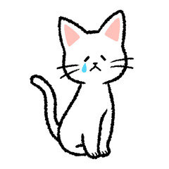 泣いている白猫