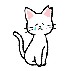 耳カットをされた雌の白猫