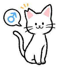 耳カットをされた雄の白猫