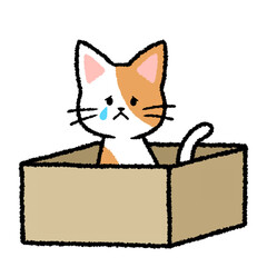 Fototapeta premium 泣いている捨て猫