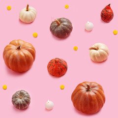 Creative seamless pattern with pumpkins on pink background