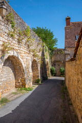 Fototapeta na wymiar old city wall of saint cyprien in the dordogne